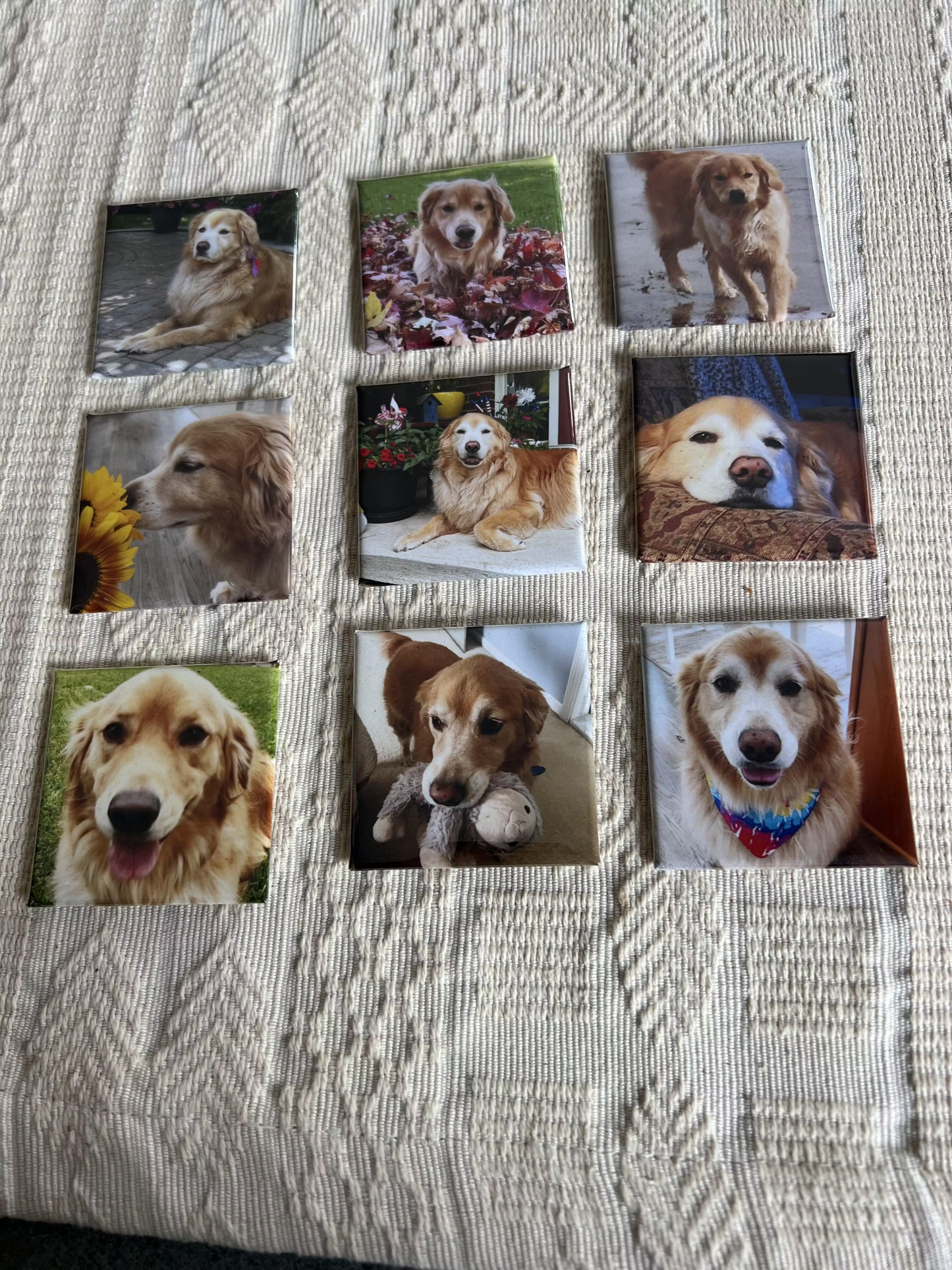 2x2" Custom Photo Magnets | Build Your Personalized Set